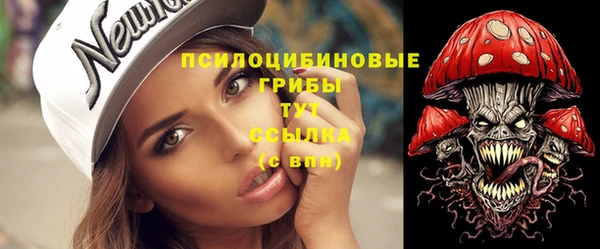 крисы Алзамай