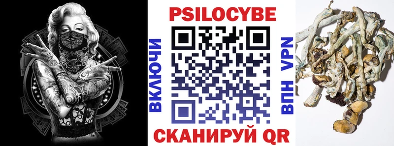 закладки  Чайковский  Галлюциногенные грибы ЛСД 