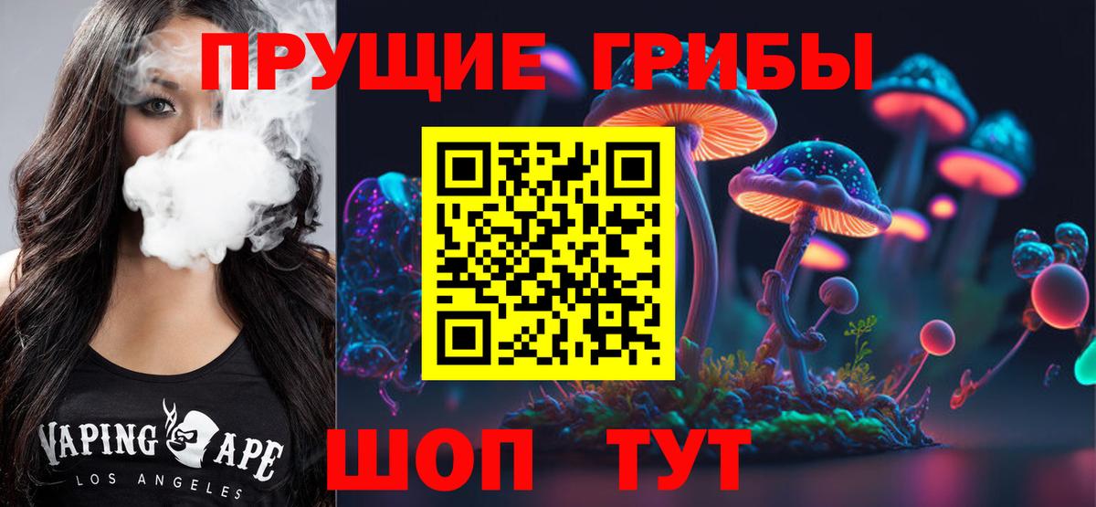 Чайковский  Псилоцибиновые грибы Cubensis  Вход с VPN 